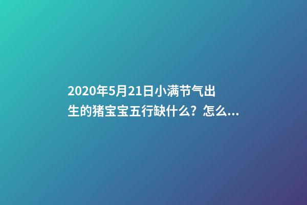 2020年5月21日小满节气出生的猪宝宝五行缺什么？怎么化解？ 84年5月21日五行属什么，1984年属鼠的五行属什么-第1张-观点-玄机派